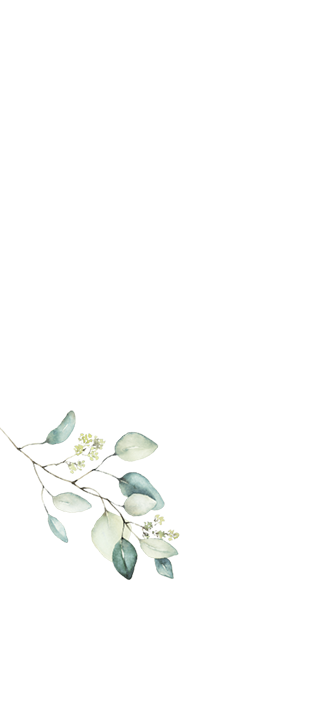 shape